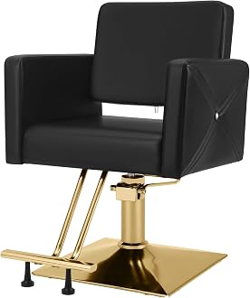 Hydraulic Styling Chair