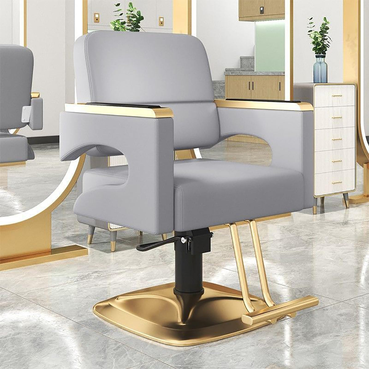 Hair Salon Chair